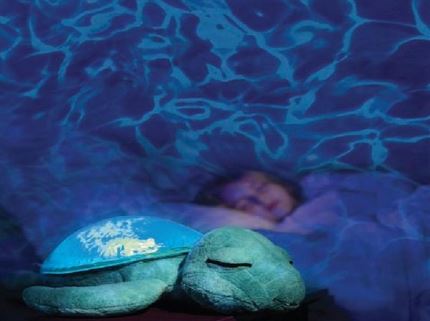 tortuga tranquila azul olas